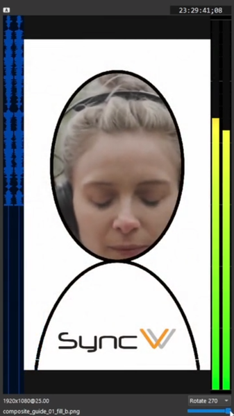 Catch Continuity Errors On Set